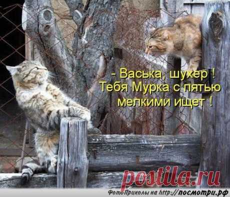 Мой Мир@Mail.Ru