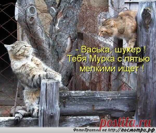 Мой Мир@Mail.Ru
