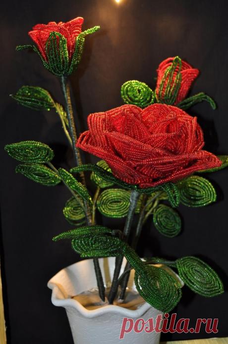Роза из бисера: подробный мастер-класс с описанием плетения