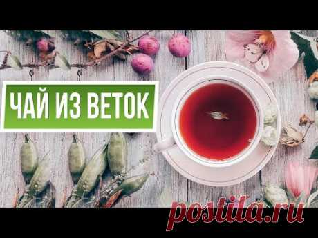 Вкусный чай из веток  ✿ Польза чая из плодовых веточек