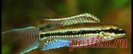 Мирный - Part 3