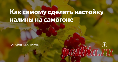 Как самому сделать настойку калины на самогоне Калина ягода известная, и в песнях воспетая и машина в честь неё названа. Но мало кто её ест, ведь она горьковата на вкус. Для чего же собирают? Пирожки из неё получаются хорошие, но вот когда их пекут, то запах по квартире разносится не совсем благоуханный. В моём саду два огромных дерева калины. Всех ягод не собрать, но кое-что всегда собираю и изготавливаю из калины калиновый самогон и настойку на калине. Про то, как я дела...