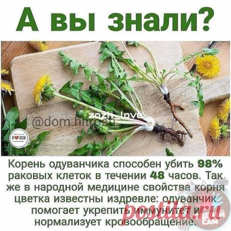 (2) Мой Мир@Mail.Ru