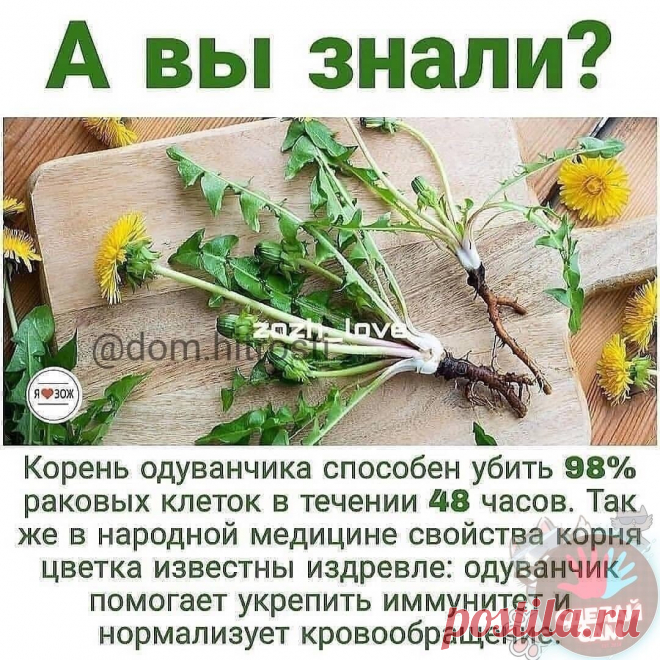 (2) Мой Мир@Mail.Ru