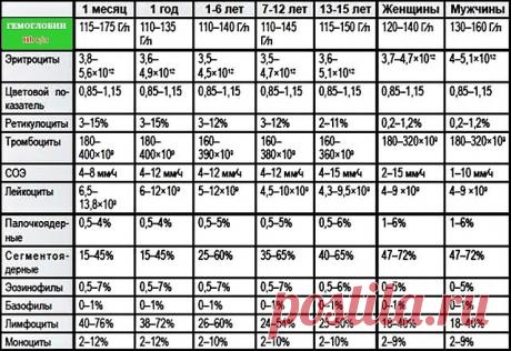 Клинический анализ крови (норма). Сохраните себе