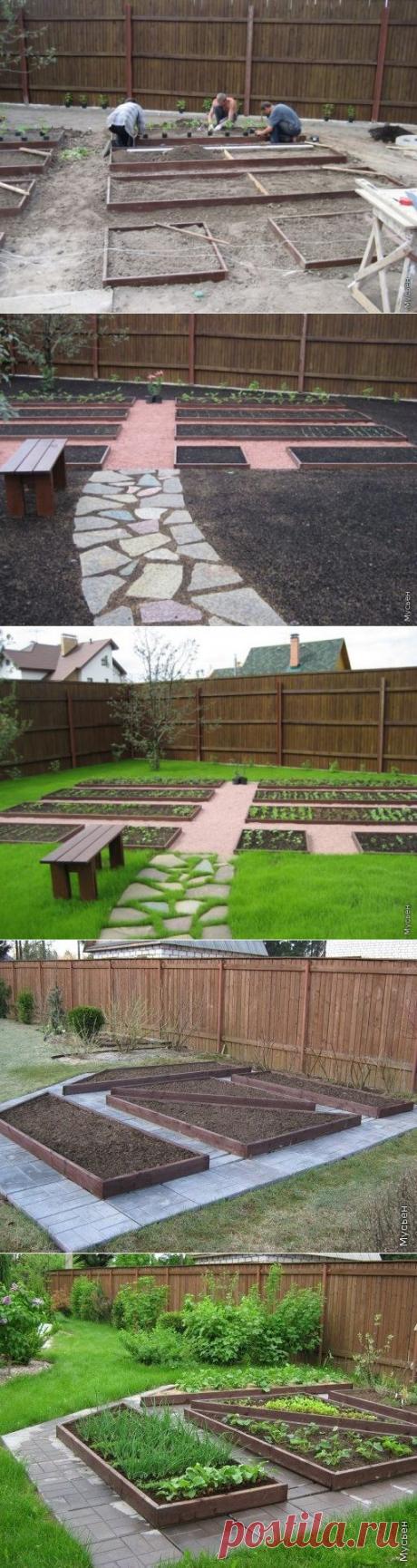 Декоративный огород: идея и воплощение / Я - суперпупер