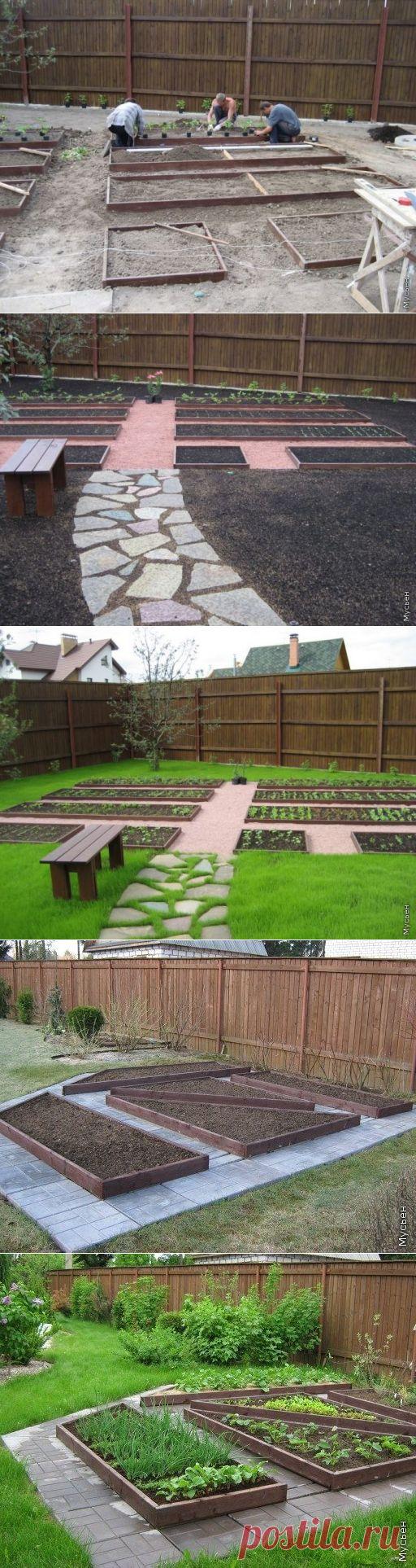 Декоративный огород: идея и воплощение / Я - суперпупер