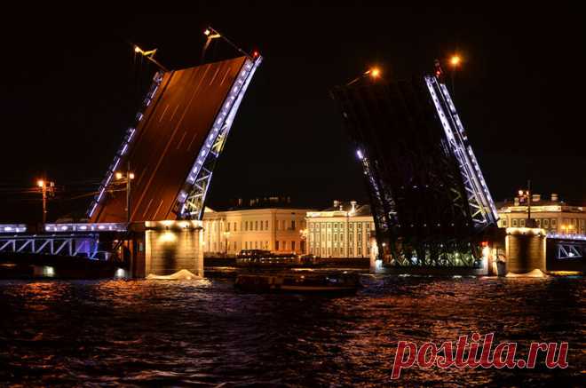 Поющие мосты в Санкт-Петербурге 2025: расписание, где проходит - Я Покупаю