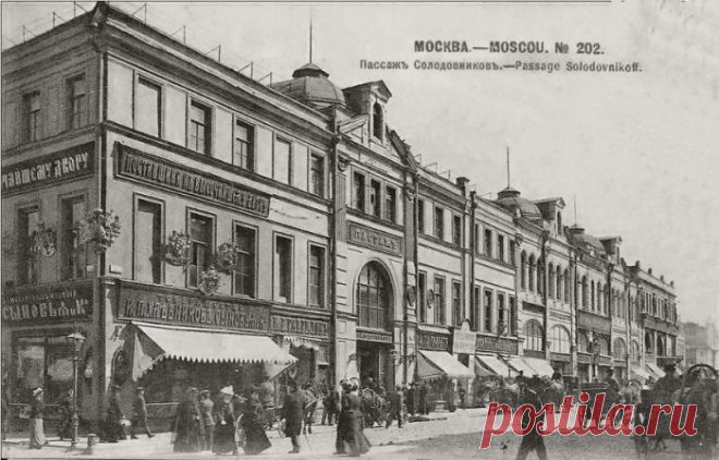 Виктория Славянка
