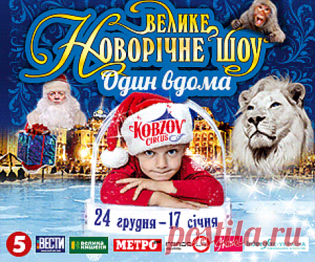 Почему сохнут кончики листьев комнатных растений? - Комнатные растения - уход за комнатными растениями - Дом - IVONA - bigmir)net - IVONA