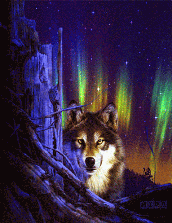 GiF WORLD – Nature – Сообщество – Google+