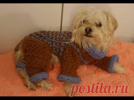 Sueter para perros a crochet /crochet dog sweater