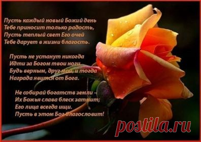 Бисеринка Татьяна