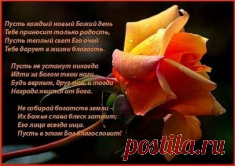 Бисеринка Татьяна