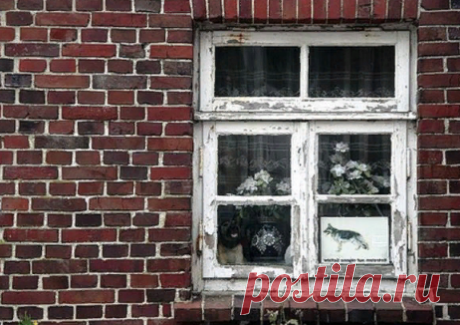 Что делать с окна постоянно поддувает? | Ремхак | Яндекс Дзен