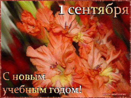 Картинки «С новым учебным годом!» (35 фото) ⭐ Забавник