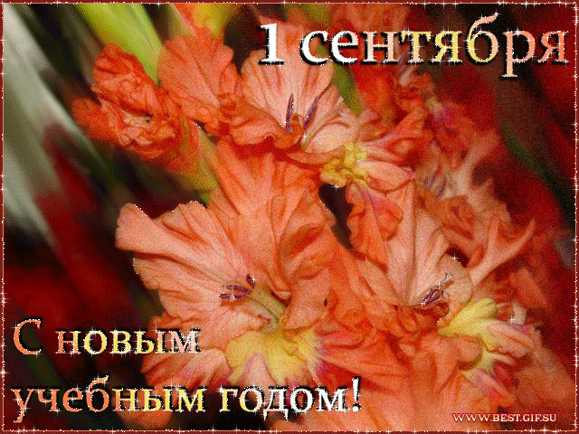 Картинки «С новым учебным годом!» (35 фото) ⭐ Забавник
