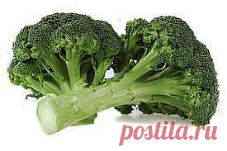 (+1) тема - Полюбите брокколи! | КРАСОТА И ЗДОРОВЬЕ