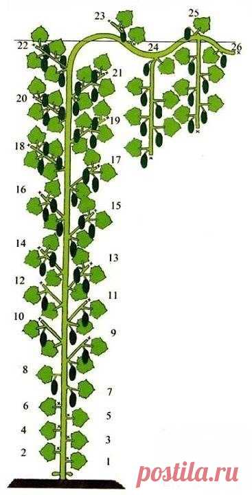 Новости - МирТесен