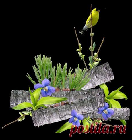 ****Material Para Tus Scrapss****