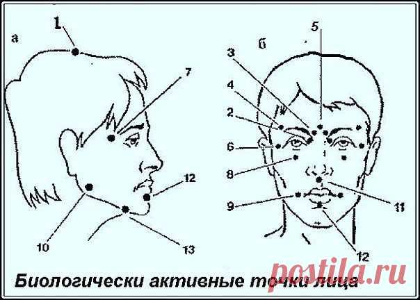 Биологически активные точки на голове — ваша скорая помощь