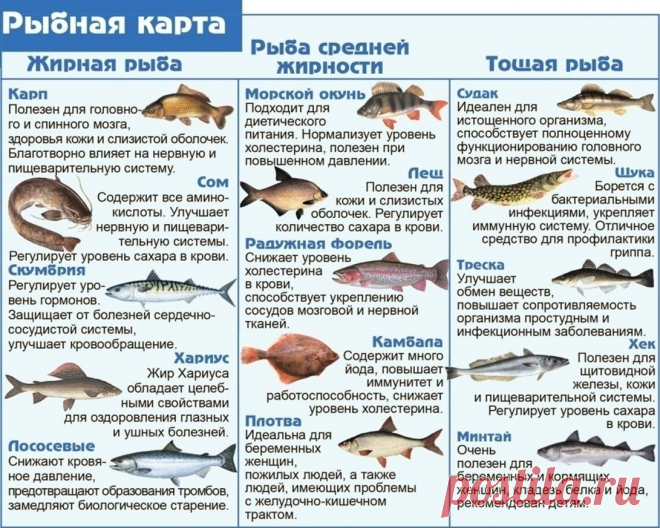Радужная форель -это вкусно!

Как часто вы едите рыбку?