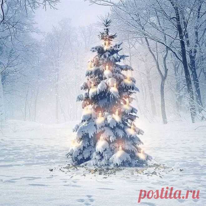 Եկե՛ք խոսենք իրար հետ, - ասում է Տերը, - եթե ձեր մեղքերը արյան պես կարմիր են, ապա Ես ձյան պես ճերմակ կդարձնեմ։
ԵՍԱՅԻ 1:18