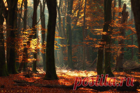 autumn
