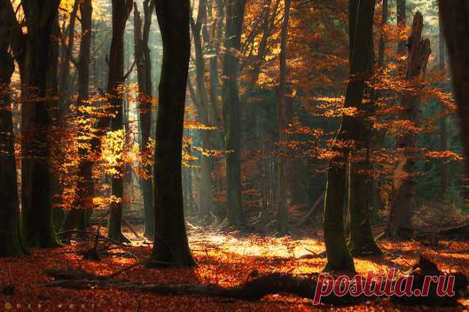 autumn