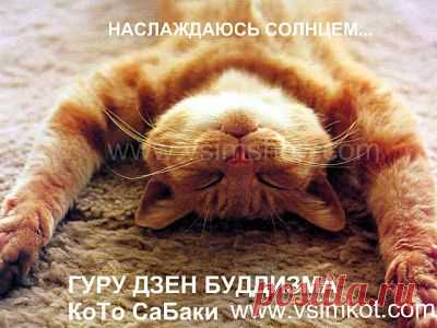 Лучший способ оздоровления - наслаждение и радость! - Vsim Shop