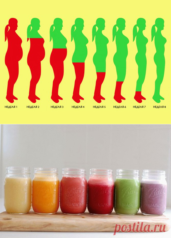 Как растопить лишний жир за 8 недель: стабильный результат без возврата веса