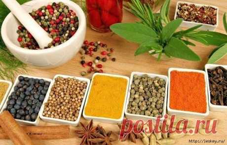 Полезные советы | Записи в рубрике Полезные советы | Дневник Leskey