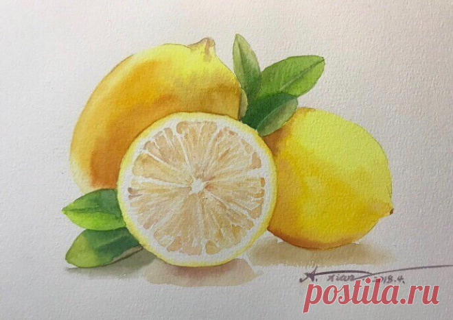 Лимоны акварелью