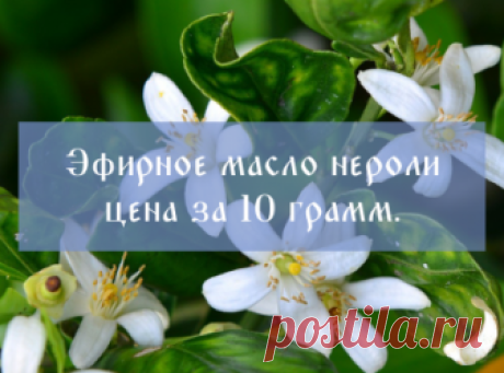 Эфирное масло нероли свойства и применение, купить — Золотая горка