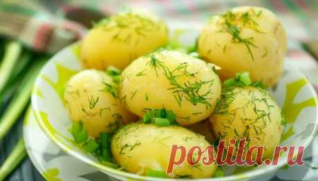 Как вкусно сварить картошку: 7 тезисов - с чего начинается вкус. И почему картошка в пюре, салате невкусная: повара советуют | В саду у Валентинки | Дзен