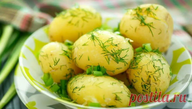 Как вкусно сварить картошку: 7 тезисов - с чего начинается вкус. И почему картошка в пюре, салате невкусная: повара советуют | В саду у Валентинки | Дзен