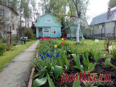 Продаю дом, СНТ Березка - Realty.dmir.ru (Недвижимость и Цены)