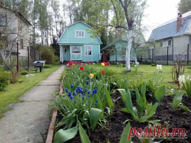 Продаю дом, СНТ Березка - Realty.dmir.ru (Недвижимость и Цены)