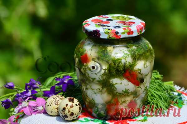 Маринованные перепелиные яйца - Пошаговый рецепт с фото | Закуски