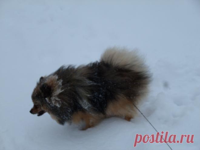 Михаил на прогулке