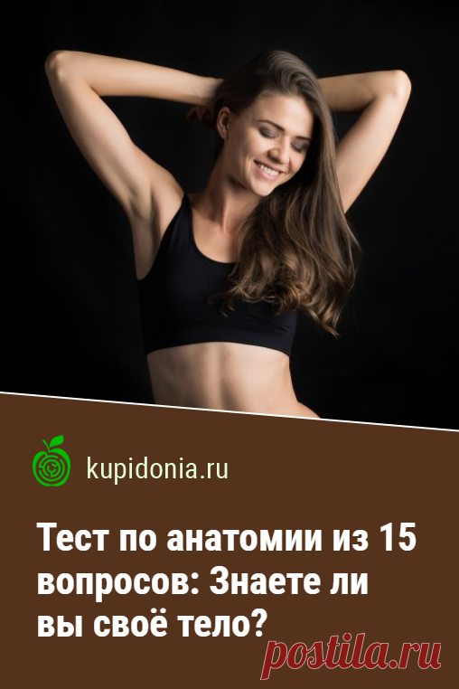Тест по анатомии из 15 вопросов: Знаете ли вы своё тело?. Этим тестом мы открываем новую научно-популярную тему на нашем проекте. Попробуйте ответить правильно на интересные вопросы о вашем теле!