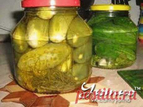 кулинария | Записи в рубрике кулинария | Дневник TATYSIY