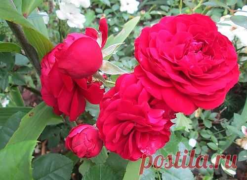 Как сэкономить на "коммуналке"?