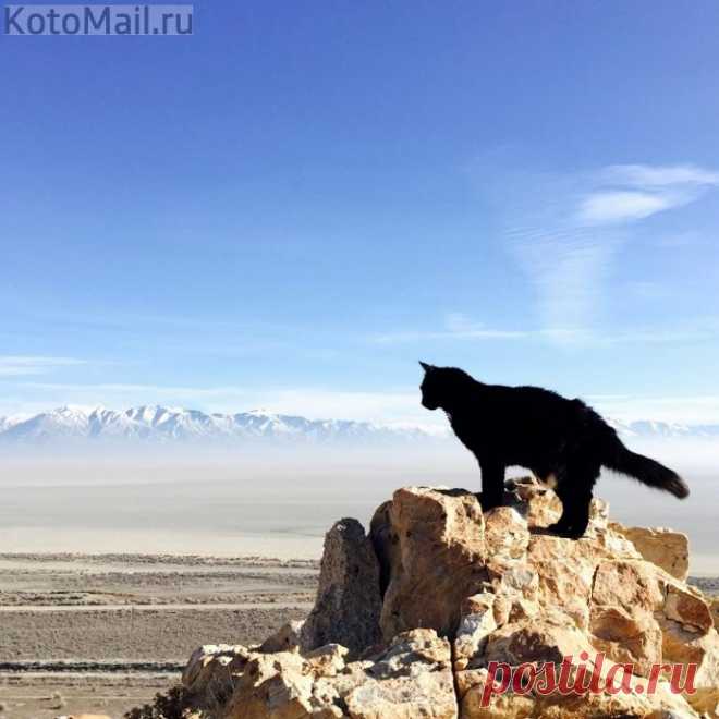 Люблю как ветер обдувает мне бока!...