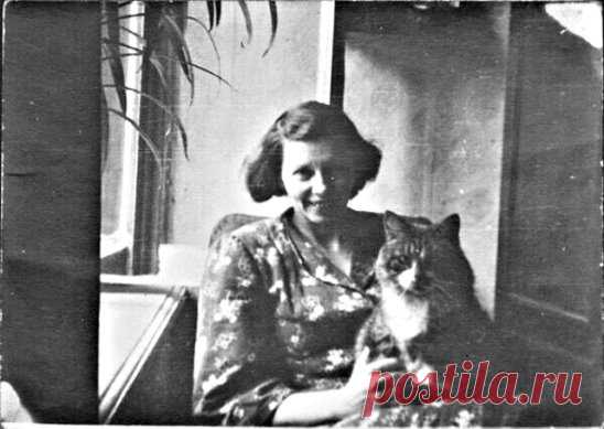 Знаменитый ленинградский кот Максим - блокадник.