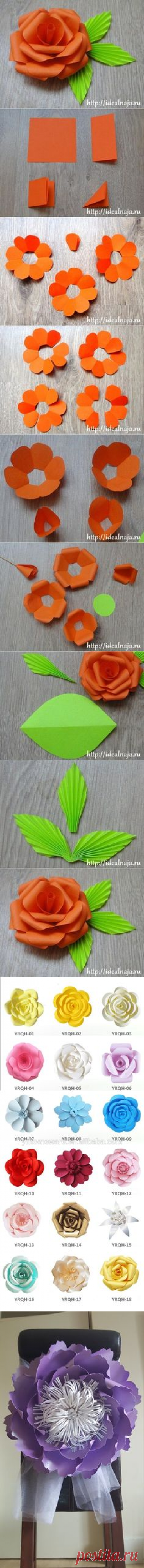 (491) Pinterest