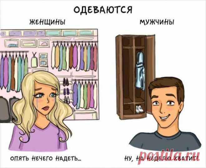 Чем отличаются друг от друга мужчины и женщины (14 картинок)