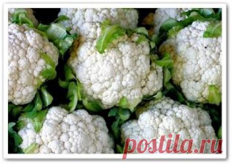 Видео уроки онлайн - Videouroki-onlain.com: Сад и огород