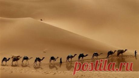 ПРИТЧА "КАК ОТЛИЧИТЬ ИСТИННОЕ ОТ ЛОЖНОГО"
— Как отличить истинное чувство собственной значимости от ложного? — спросили ученики Ходжу Насреддина. — Представьте себе караван верблюдов, идущий по пустыне, — предложил Насреддин. Кем …