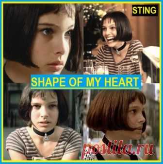 Слова песни Shape Of My Heart - Стинг к читать и слушать | стинг тексты песен с переводом